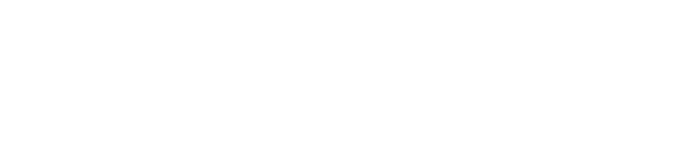 Weege Autohaus Ford